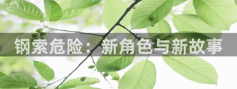 omofun在线追番：钢索危险：新角色与新故事配图