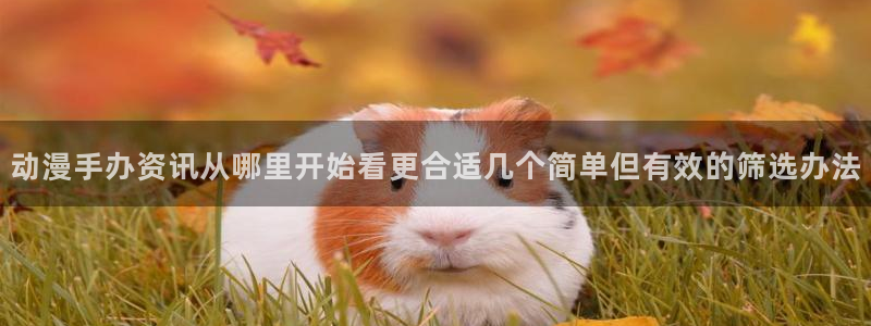 omofun最新新番：动漫手办资讯从哪里开始看更合适几个简单但有效的筛选办法配图