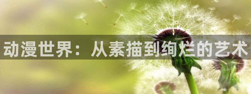 omofun新番更新：动漫世界：从素描到绚烂的艺术配图
