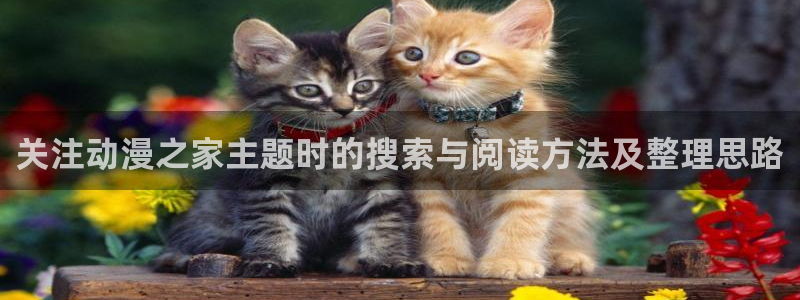 omofun动漫近期更新:关注动漫之家主题时的搜索与阅读方法及整理思路配图