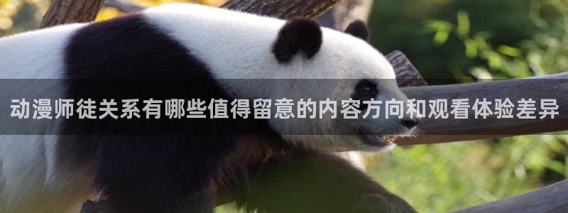 omofun动漫最新推荐:动漫师徒关系有哪些值得留意的内容方向和观看体验差异配图