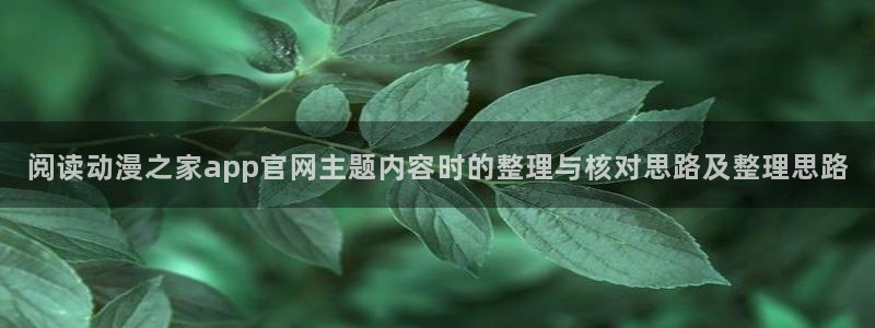 omofun新番：阅读动漫之家app官网主题内容时的整理与核对思路及整理思路配图