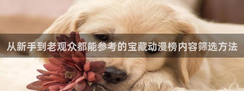 omofun免费观看：从新手到老观众都能参考的宝藏动漫榜内容筛选方法配图