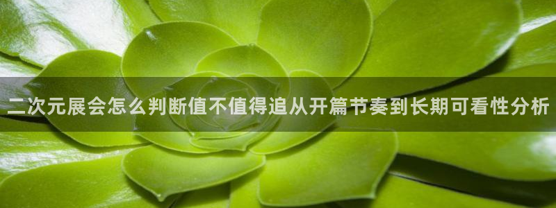 omofun热门动漫推荐：二次元展会怎么判断值不值得追从开篇节奏到长期可看性分析配图
