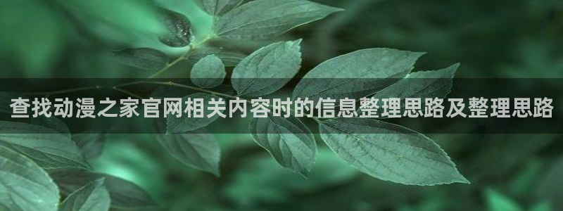 omofun动漫高清:查找动漫之家官网相关内容时的信息整理思路及整理思路配图